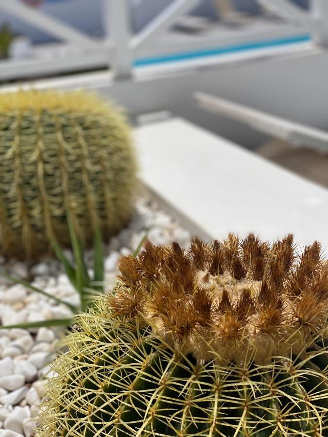 Flower Beach Deluxe Playa Honda  Zewnętrze zdjęcie